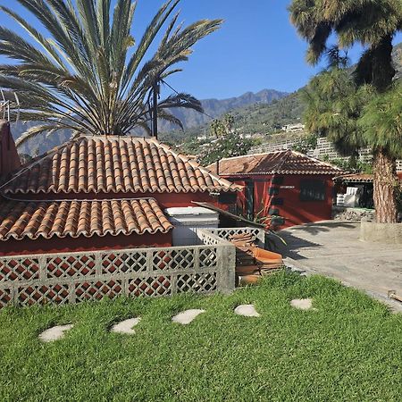 Casa Rural El Pinito Con Piscina Privada إل باسو المظهر الخارجي الصورة