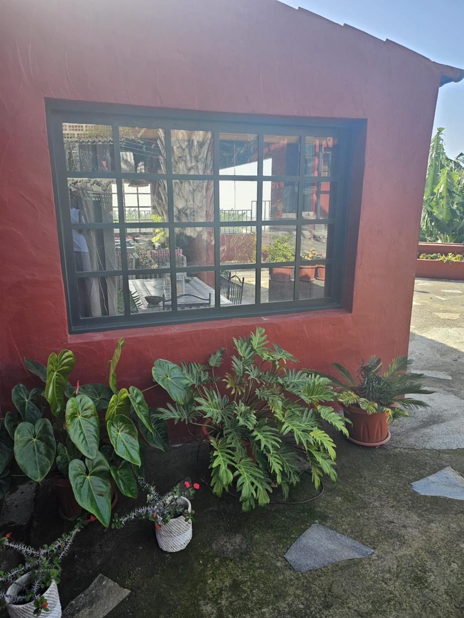 Casa Rural El Pinito Con Piscina Privada إل باسو المظهر الخارجي الصورة